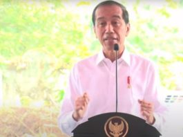 Jokowi Showcases Indonesia Entering the Top 5 World Economies