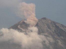 Mount Semeru Erupts, Spews Ash 400 Meters Above Peak Mount Semeru Erupts, Spews Ash 400 Meters Above Peak