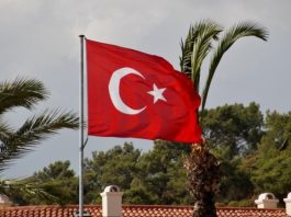 Turkey Denies Allegations of Weapon Exports to Israel Amid Gaza Conflict